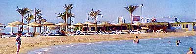 ,  ,  Marriott Beach Resort