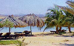 El Quseir - Marsa Alam,  ,  Mangarove Bay
