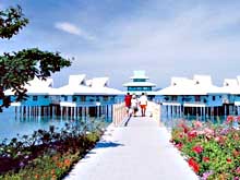  Dos Palmas Arreceffi Island Resort