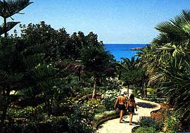  -  -  ,     Nissi Beach Holiday Resort, ,  