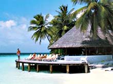  .  -: .  Angsana Resort & SPA Maldives