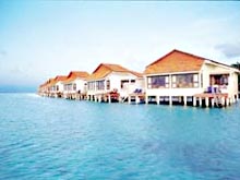  .  -: .  Taj Coral Reef Resort