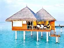  .  -: .  Taj Exotica Resort & SPA Maldives